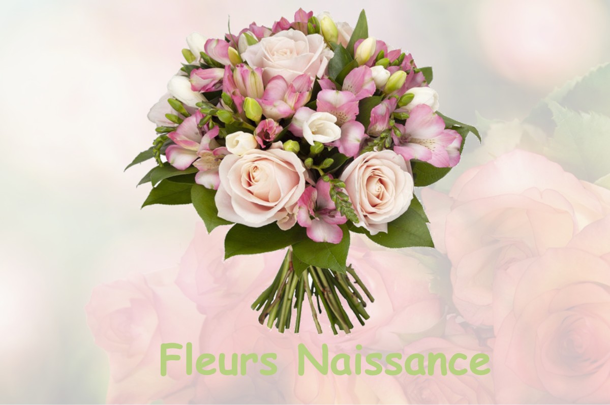 fleurs naissance PUISIEUX-ET-CLANLIEU